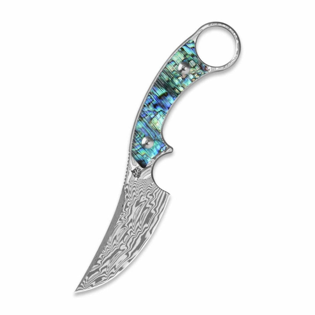 QSP Baby Viper QS178-D Laminated Damascus Blade Abalone Handle Fixed Blade Knife
