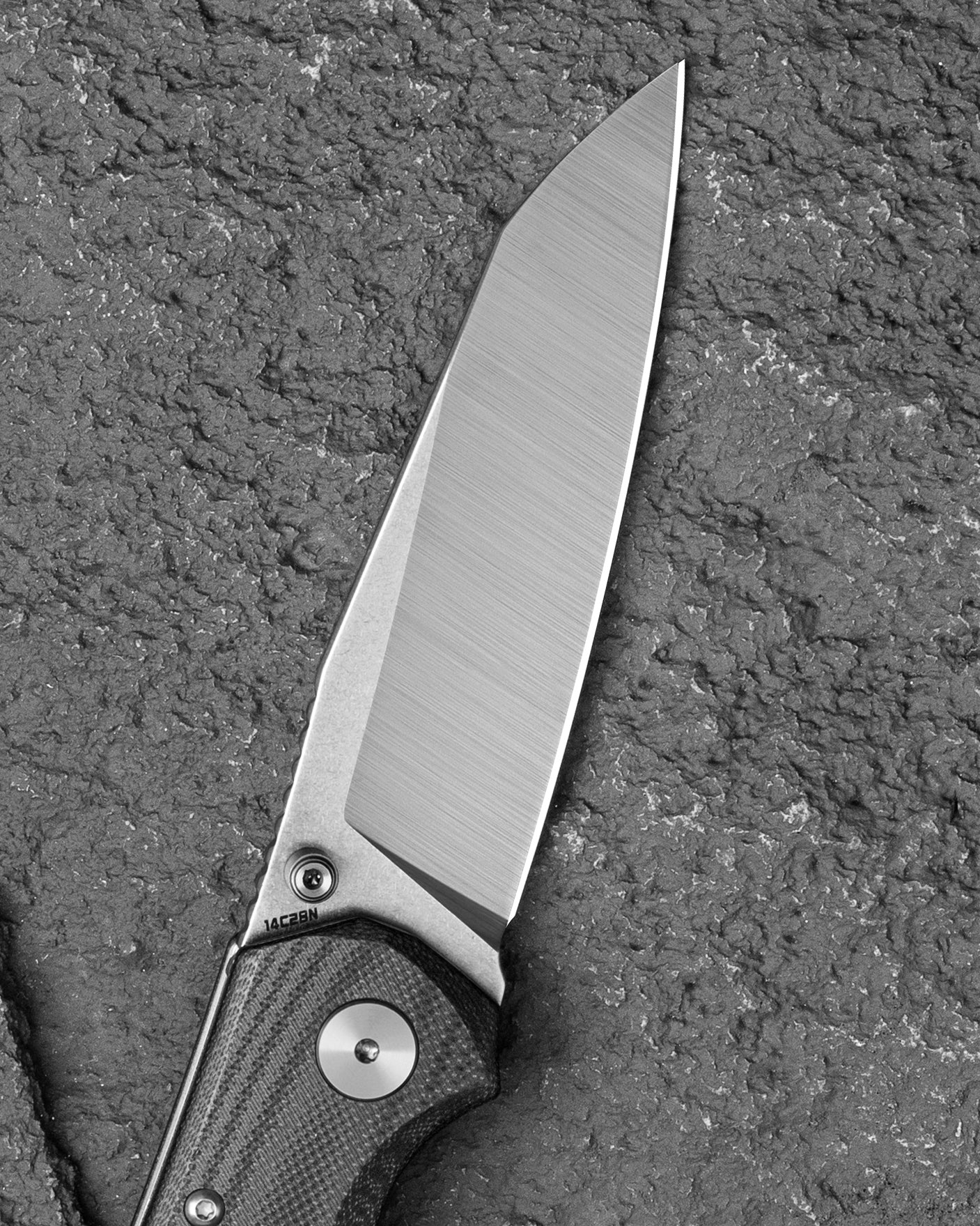 Bestech Snakebird BG58C 14C28N Blade Black G10 Handle Button Lock Folding Knife