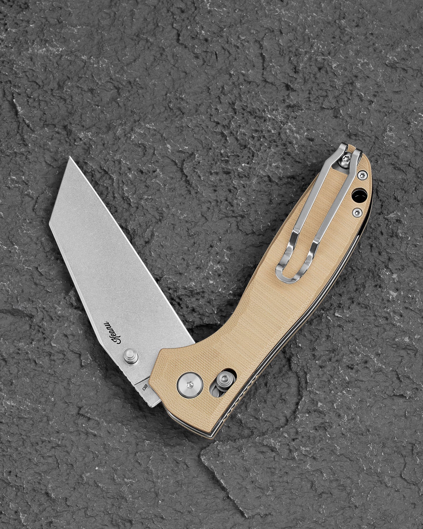 Bestech Liger BG61C D2 Blade G10 Handle Crossbar Lock Folding Knife