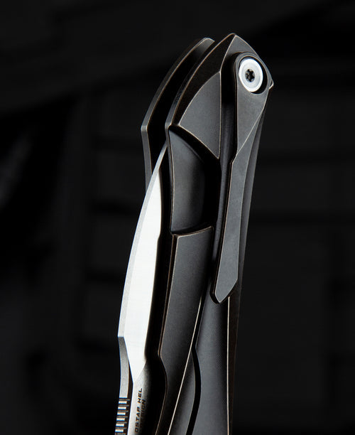 Bestech IVY BT2004A CPM-S35VN Blade Titanium Handle Frame Lock Folding Knife