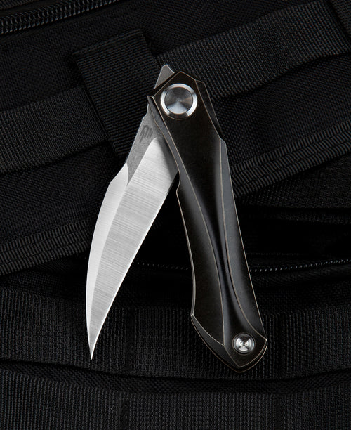 Bestech IVY BT2004A CPM-S35VN Blade Titanium Handle Frame Lock Folding Knife