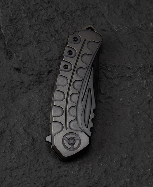 Bestech Buwaya BT2203C M390 Blade Titanium Handle Frame Lock Folding Knife