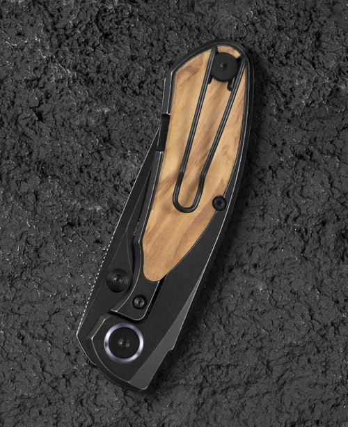 Bestech Lito BT2307C M390 Blade Titanium+Olive Canvas Micarta Inlay Handle Frame Lock Folding Knife