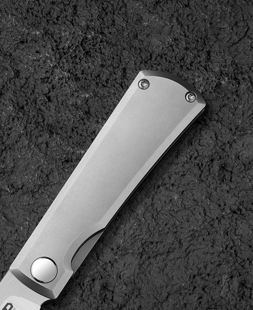 Bestech Bruv BT2401A M390 Blade Titanium Handle Frame Lock Folding Knife