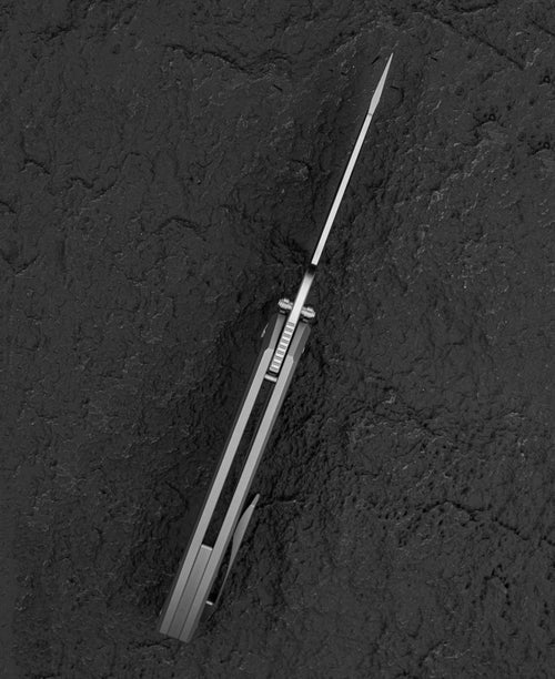 Bestech Clastic BT2407A Magnact Blade Titanium Handle Frame Lock Folding Knife