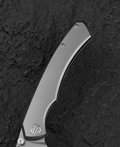 Bestech Clastic BT2407C Magnact Blade Titanium Handle Frame Lock Folding Knife