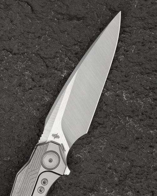Bestech Wet Nellie BT2505B MagnaCut Blade Titanium Handle Button Frame Lock Folding Knife