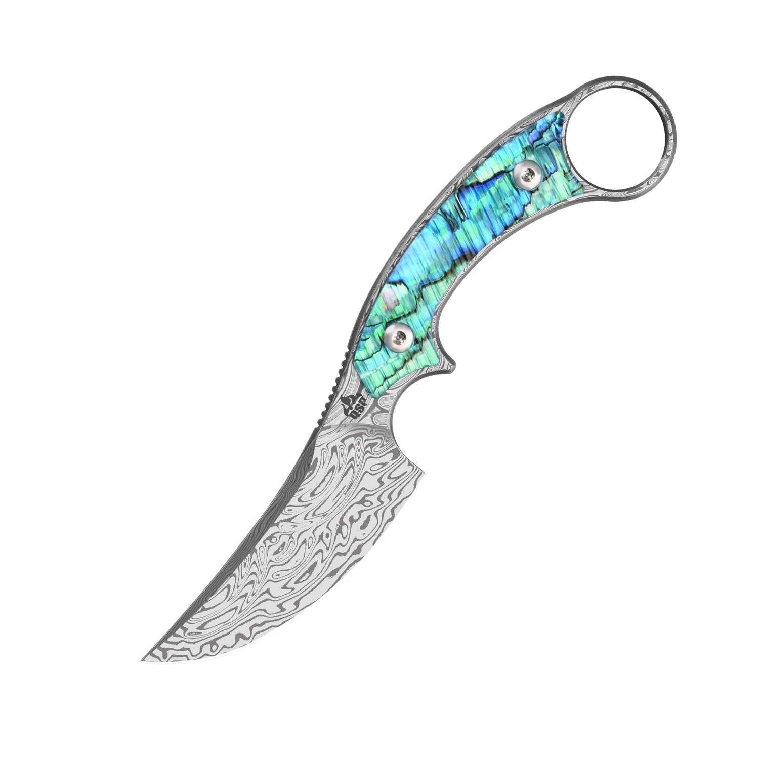 QSP Baby Viper QS178-D Laminated Damascus Blade Abalone Handle Fixed Blade Knife