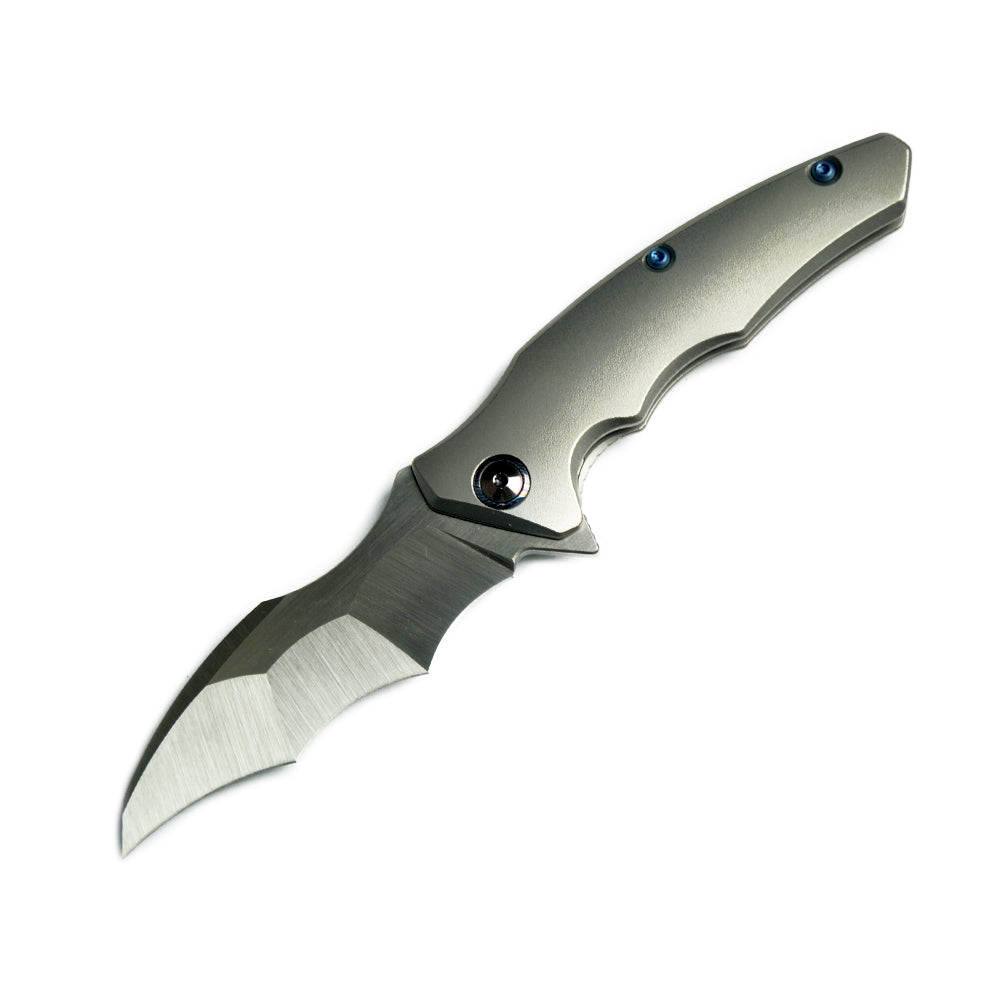 Maxace Dragon MDG01 M390 Satin Blade Titanium Handle Frame Lock Folding Knife Blue screws