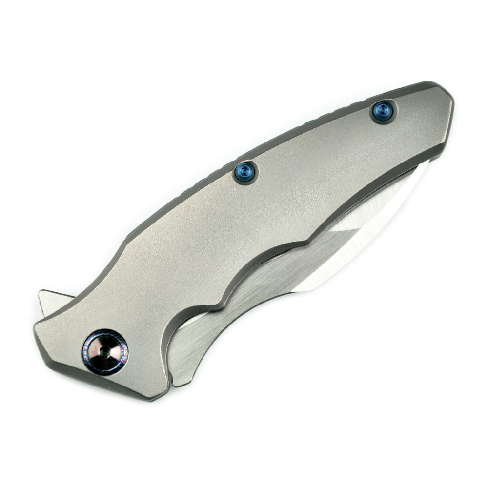 Maxace Dragon MDG01 M390 Satin Blade Titanium Handle Frame Lock Folding Knife Blue screws