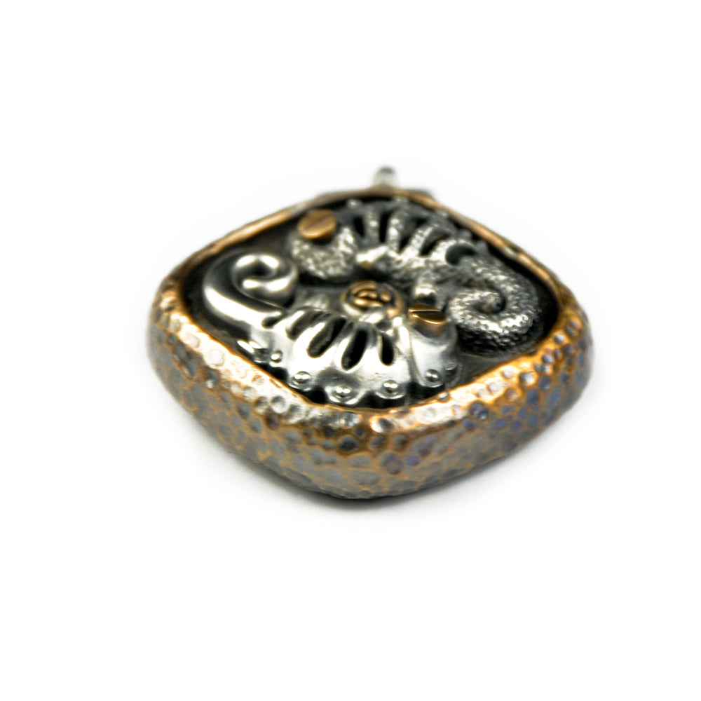 Phase objects Chameleons WorryStone Customized Bottle Opener