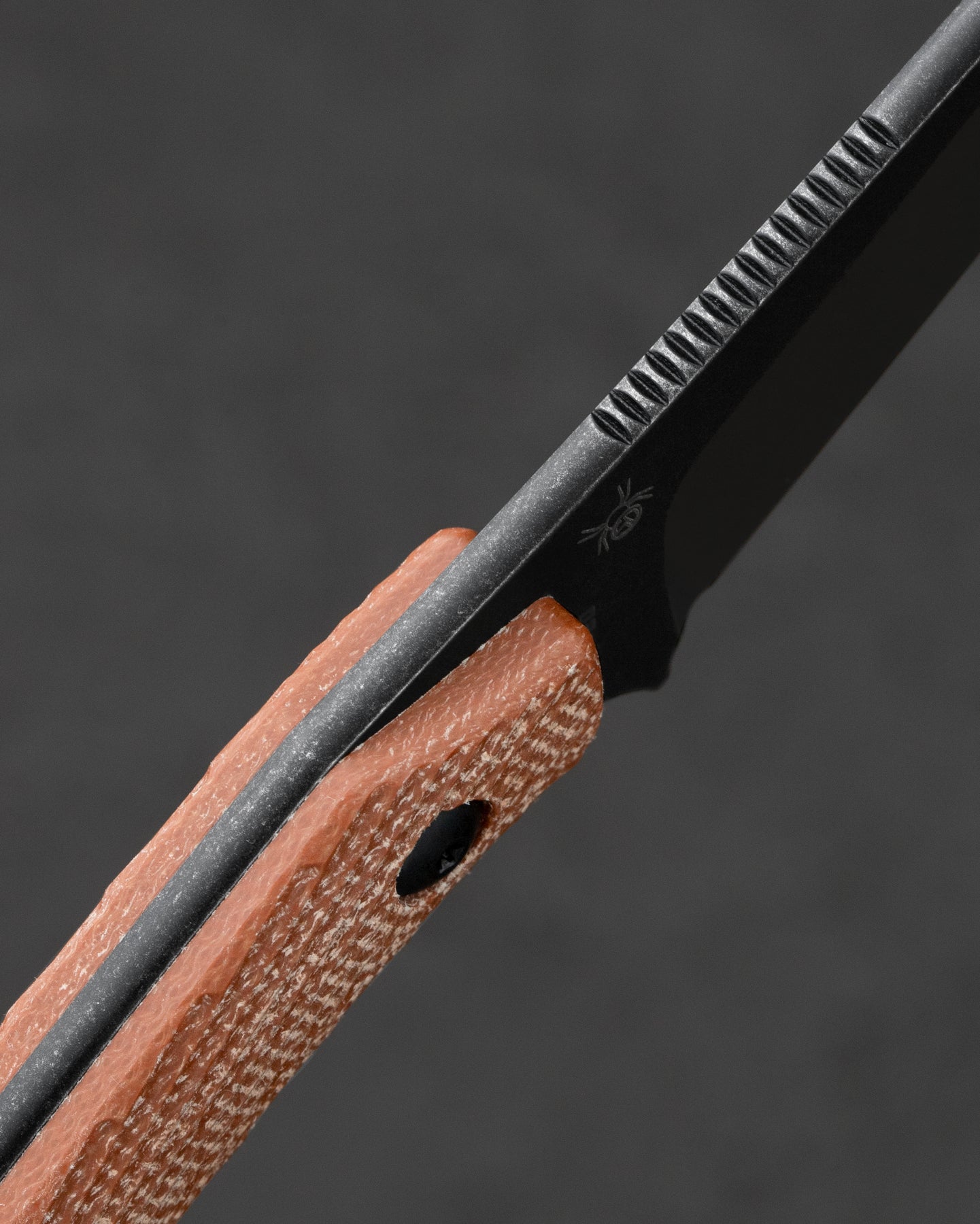 Bestech Step BFK06D D2 Blade Brown Micarta Handle with Kydex Sheath Fixed Blade Knife