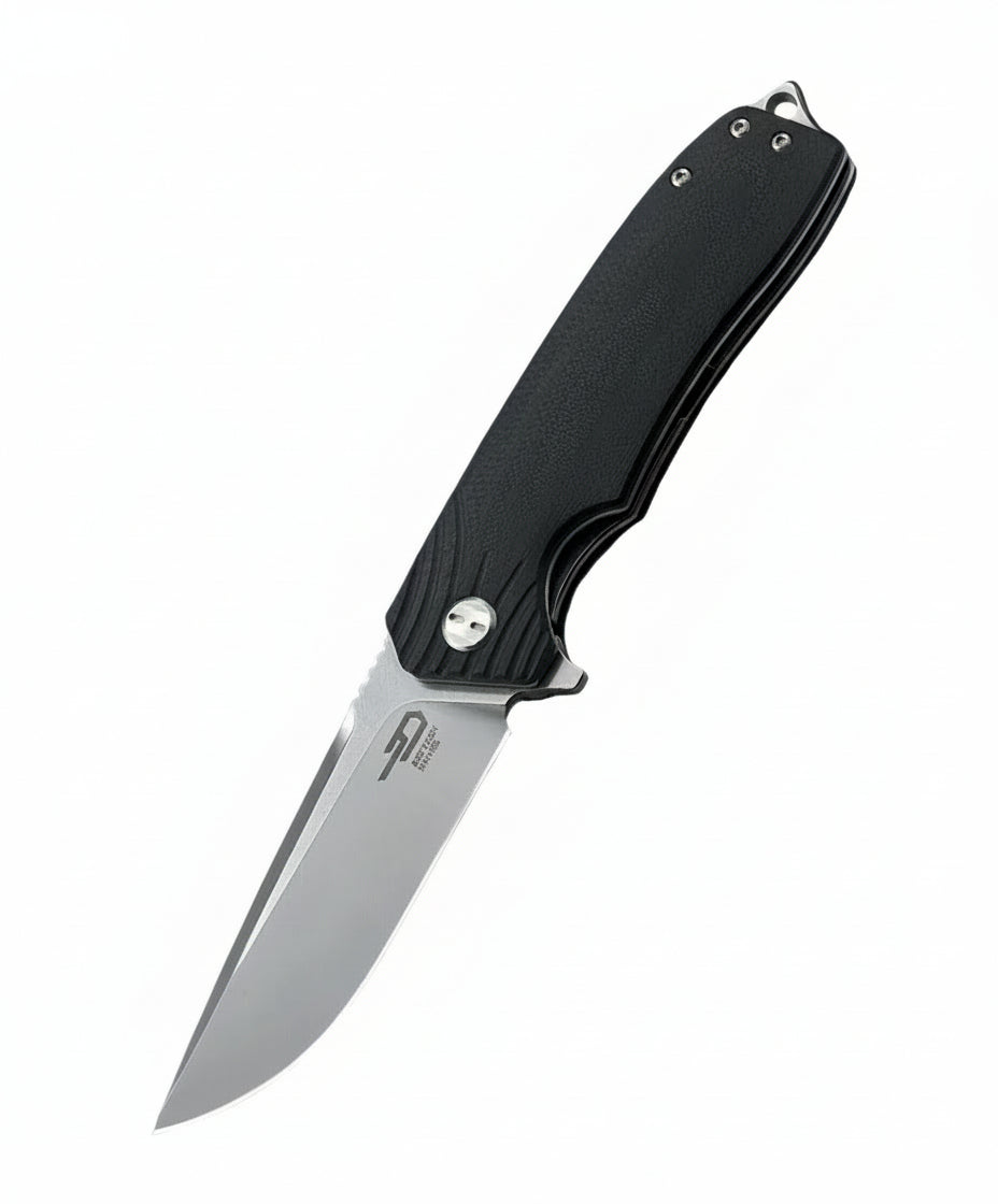 Bestech Lion BG01A D2 Blade Black G10 Handle Liner Lock Folding Knife