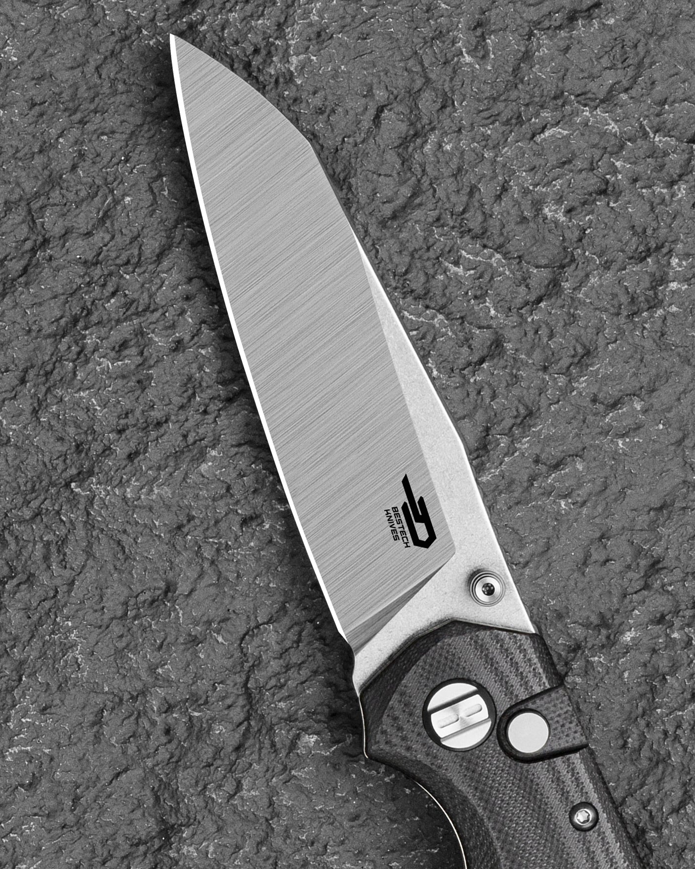 Bestech Snakebird BG58C 14C28N Blade Black G10 Handle Button Lock Folding Knife