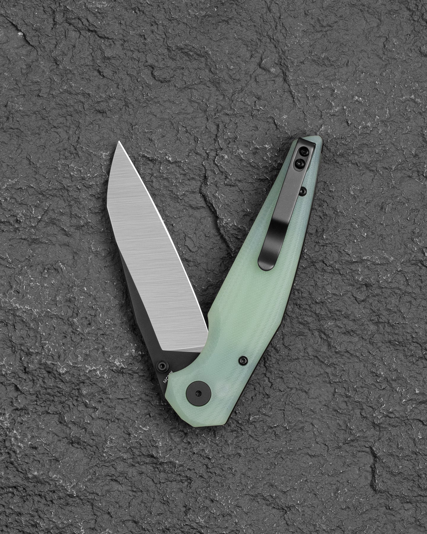 Bestech Snakebird BG58D 14C28N Blade Transparent G10 Handle Button Lock Folding Knife