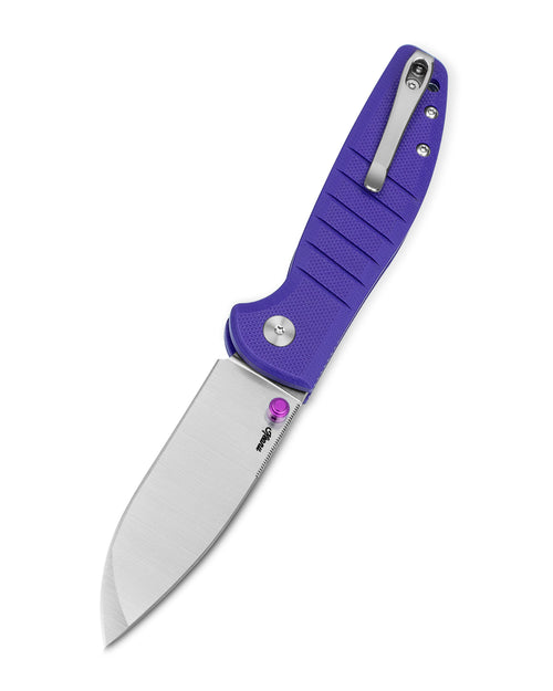 Bestechman Goodboy Jr. BMK10C D2 Blade G10 Handle Button Lock Folding Knife