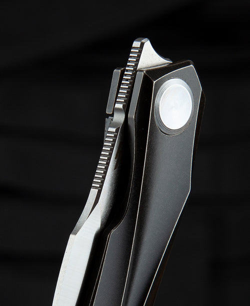 Bestech IVY BT2004A CPM-S35VN Blade Titanium Handle Frame Lock Folding Knife