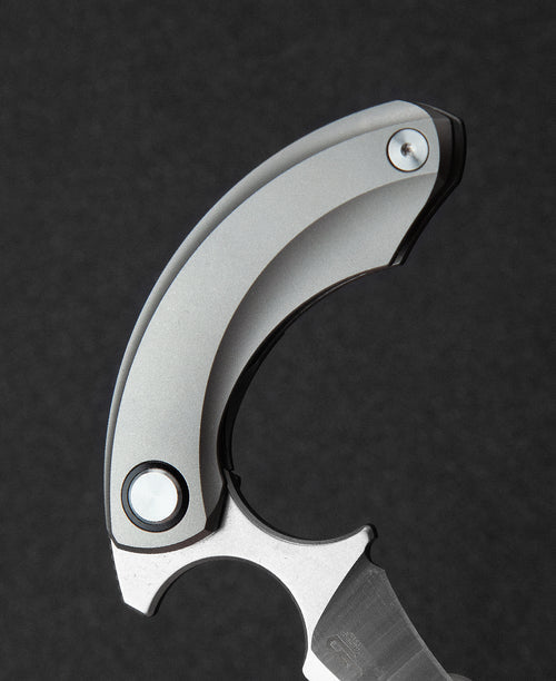 Bestech Strelit BT2103A CPM-S35VN Blade Titanium Handle Frame Lock Folding Knife