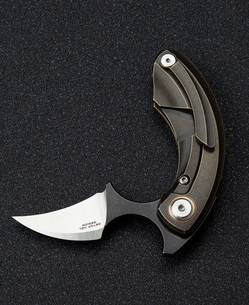 Bestech Strelit BT2103B CPM-S35VN Blade Titanium Handle Frame Lock Folding Knife