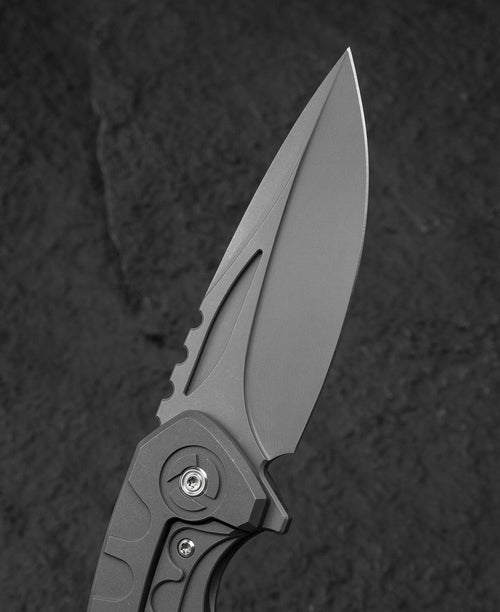 Bestech Buwaya BT2203A M390 Blade Titanium Handle Frame Lock Folding Knife