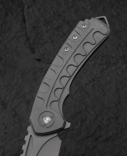 Bestech Buwaya BT2203A M390 Blade Titanium Handle Frame Lock Folding Knife