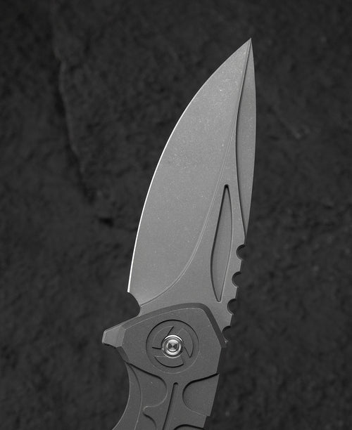 Bestech Buwaya BT2203B M390 Blade Titanium Handle Frame Lock Folding Knife