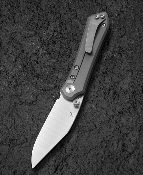 Bestech Icarus BT2302C M390 Blade Titanium Handle Frame Lock Folding Knife