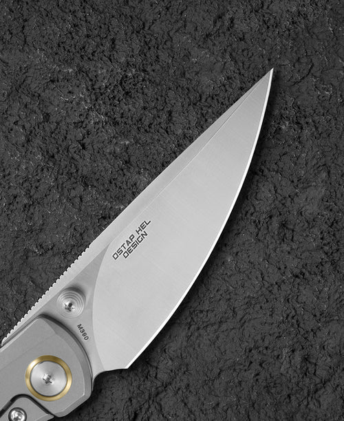 Bestech Lito BT2307A M390 Blade Titanium+Black Canvas Micarta Inlay Handle Frame Lock Folding Knife