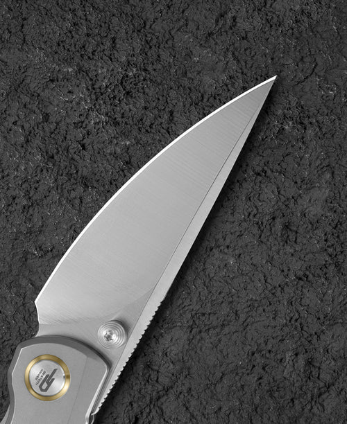 Bestech Lito BT2307A M390 Blade Titanium+Black Canvas Micarta Inlay Handle Frame Lock Folding Knife