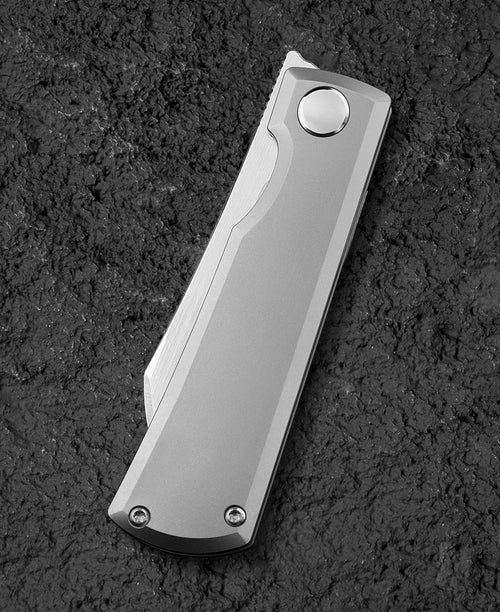 Bestech Bruv BT2401A M390 Blade Titanium Handle Frame Lock Folding Knife
