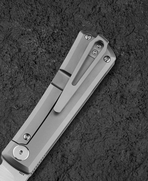 Bestech Bruv BT2401A M390 Blade Titanium Handle Frame Lock Folding Knife