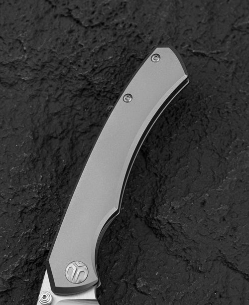 Bestech Clastic BT2407A Magnact Blade Titanium Handle Frame Lock Folding Knife