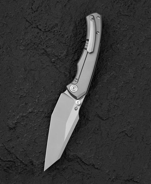 Bestech Clastic BT2407C Magnact Blade Titanium Handle Frame Lock Folding Knife