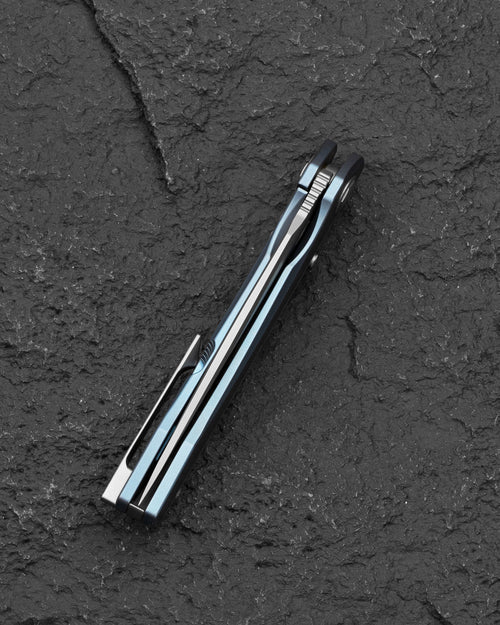 Bestech Wet Nellie BT2505A MagnaCut Blade Titanium Handle Button Frame Lock