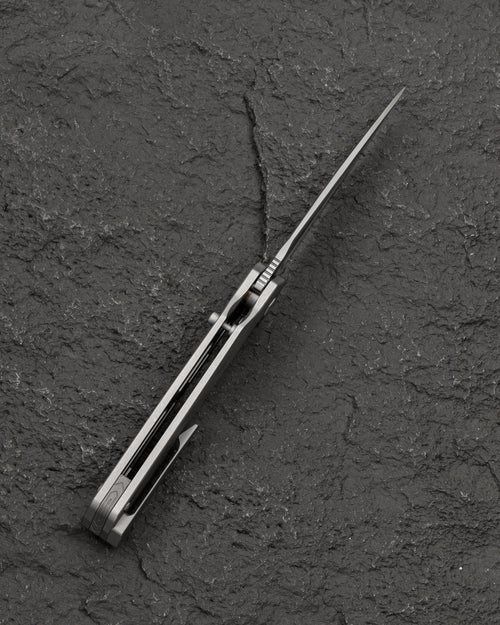 Bestech Wet Nellie BT2505B MagnaCut Blade Titanium Handle Button Frame Lock