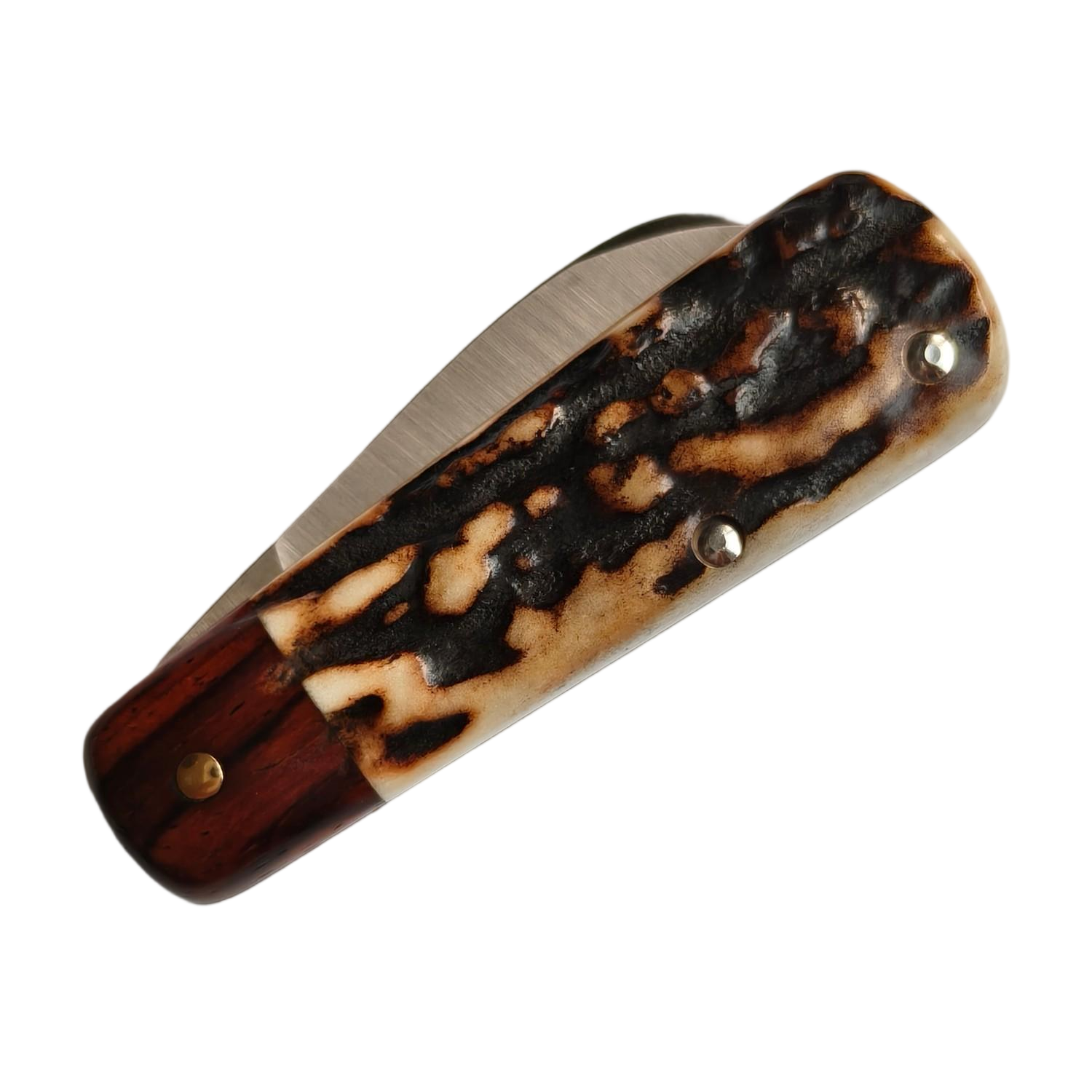 Sao Knife Pocket Knife 14C28N Blade Deer antler stalk Handle SK260514-2