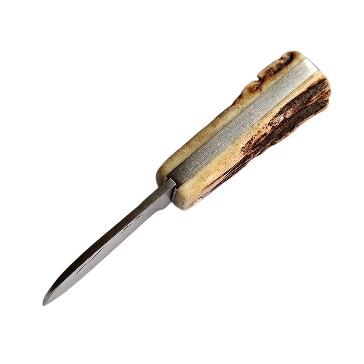 Spine view of the Sao Knife Elephant half open, showing the stainless steel liners and blade tang