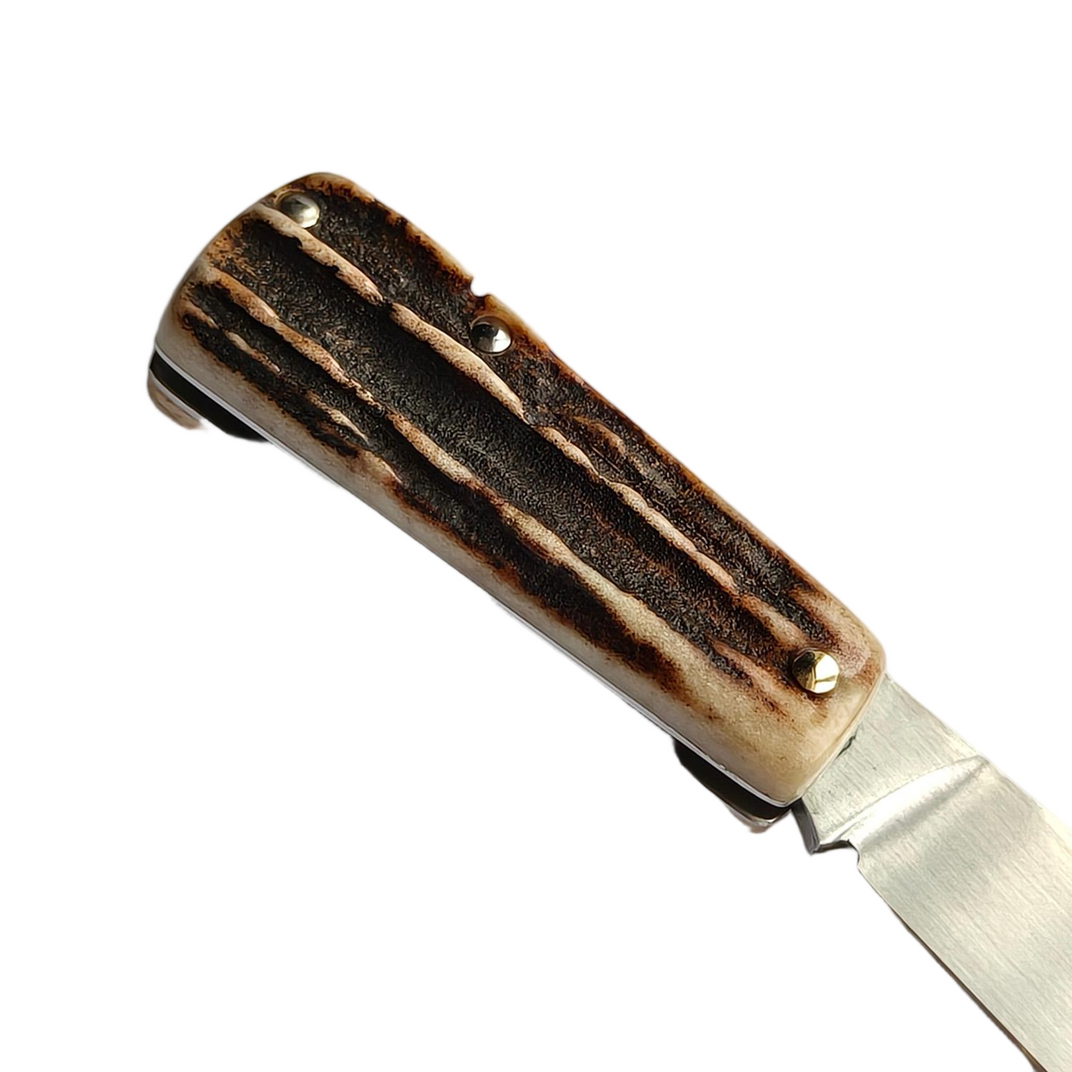 Detail shot of the Sao Knife Elephant's stag antler scales with their deep dark bark pattern and brass pins